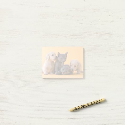 Post-it® Chatons et chiots bleus russes de teckel (Sur un bureau)