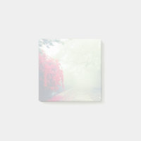 Chemins de fer Misty Photo Pittoresque