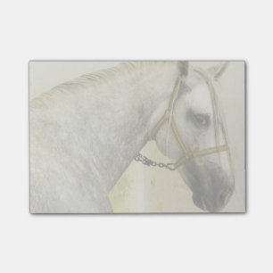 Post-it® Cheval andalou grise