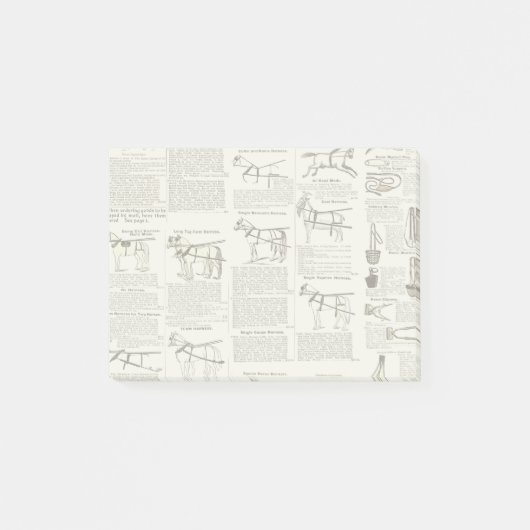 Post-it® Cheval Antique Publicité Journal Art (Devant)