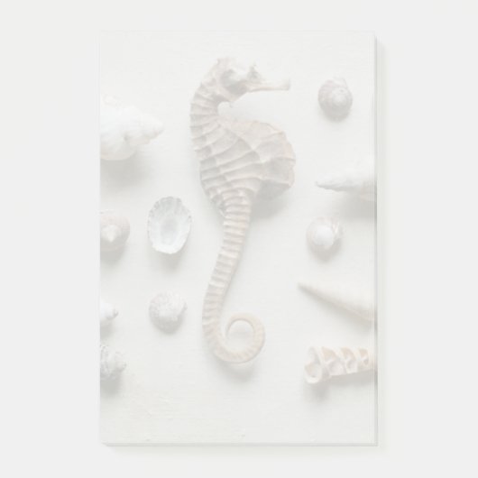 Post-it® Cheval De Mer Et Coquillages (Devant)