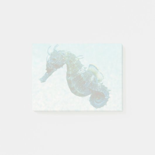 Post-it® Cheval de Seahorse| Crimée, Russie (Devant)