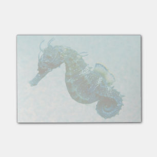 Post-it® Cheval de Seahorse Crimée, Russie