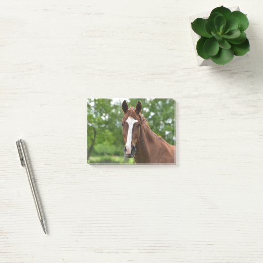 Post-it® Cheval Visage Avec Marquage (Bureau)