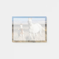 Chevaux sauvages chez eux dans le bassin de Sandwa