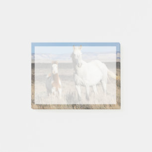 Post-it® Chevaux sauvages chez eux dans le bassin de Sandwa