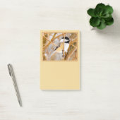 Post-it® Chickadee au plafond noir - Photo originale (Bureau)