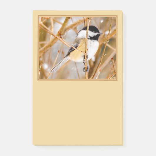 Post-it® Chickadee au plafond noir - Photo originale (Devant)
