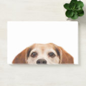 Post-it® Chien Beagle sympa Chien moderne tendance (Bureau)