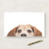 Post-it® Chien Beagle sympa Chien moderne tendance (Sur un bureau)