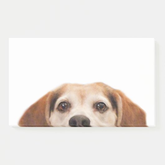 Post-it® Chien Beagle sympa Chien moderne tendance (Devant)