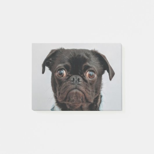 Post-it® chien d'affaires (Devant)