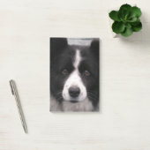 Post-it® Chien de border collie (Bureau)