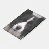 Post-it® Chien de border collie (Incliné)