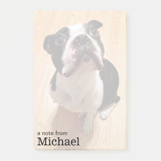 Post-it® Chien de Boston Terrier (Devant)