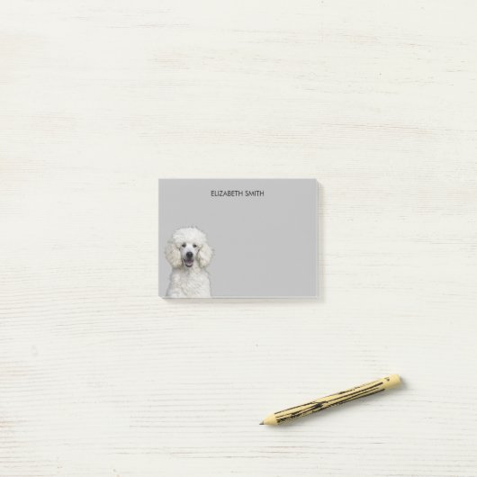 Post-it® Chien de caniche blanc (Sur un bureau)