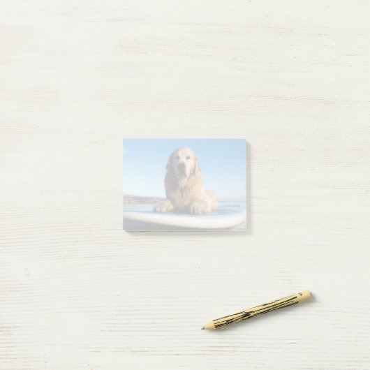 Post-it® Chien de golden retriever s'étendant sur un (Sur un bureau)