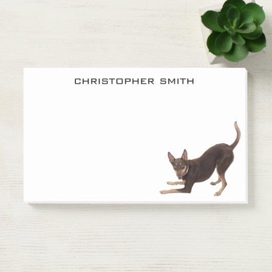 Post-it® Chien de Kelpie australien (Bureau)