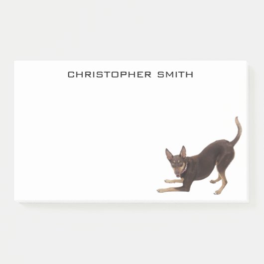 Post-it® Chien de Kelpie australien (Devant)