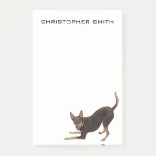 Post-it® Chien de Kelpie australien