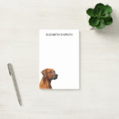 Post-it® Chien de Rhodesian Ridgeback (Bureau)