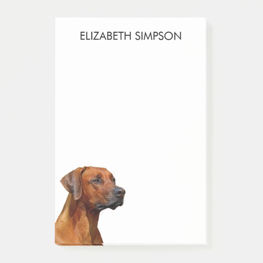 Post-it® Chien de Rhodesian Ridgeback (Devant)