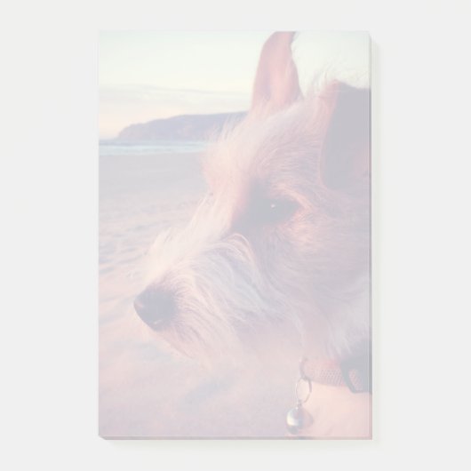Post-it® Chien Face De La Plage (Devant)