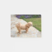 Post-it® Chien Lhasa Apso dans un jardin (Devant)