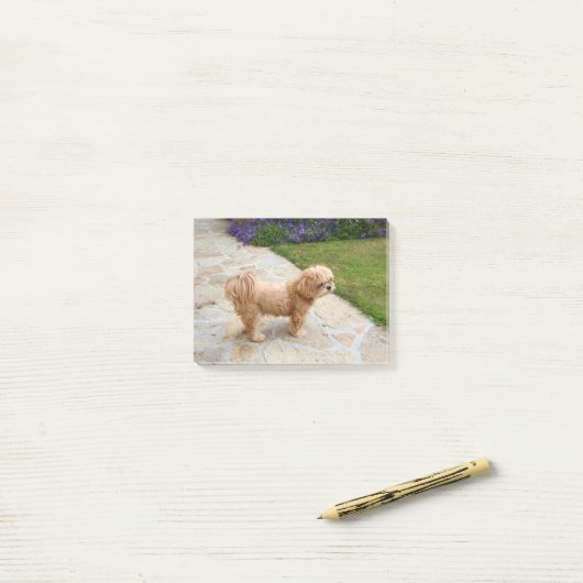 Post-it® Chien Lhasa Apso dans un jardin (Sur un bureau)