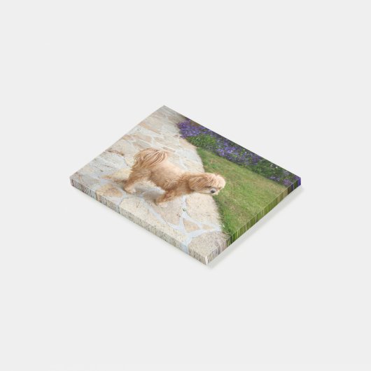 Post-it® Chien Lhasa Apso dans un jardin (Incliné)