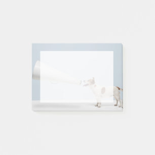 Post-it® Chien parlant des images   de Getty