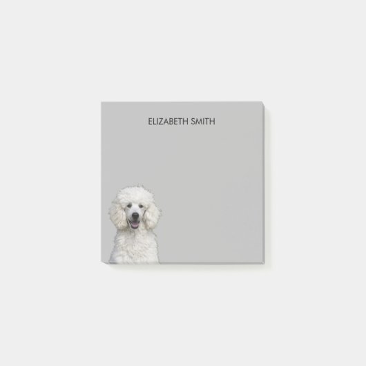 Post-it® Chien standard blanc de caniche (Devant)