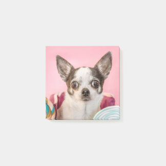 Post-it® Chihuahua
