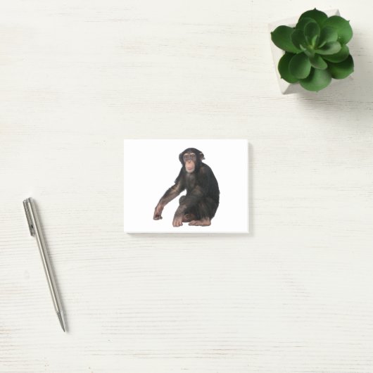Post-it® Chimpanzé (Bureau)