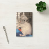 Post-it® Chinchilla (Bureau)
