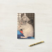 Post-it® Chinchilla (Sur un bureau)