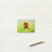 Post-it® Chiot dans le champ (Sur un bureau)