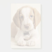 Post-it® Chiot de beagle (Devant)