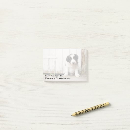 Post-it® Chiot de border collie (Sur un bureau)