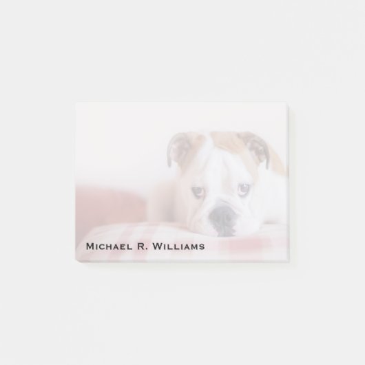 Post-it® Chiot de Bulldog anglais timide (Devant)