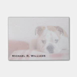 Post-it® Chiot de Bulldog anglais timide