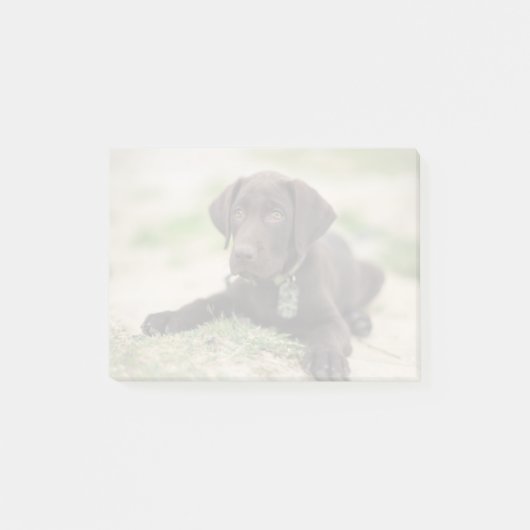 Post-it® Chiot de laboratoire de chocolat (Devant)