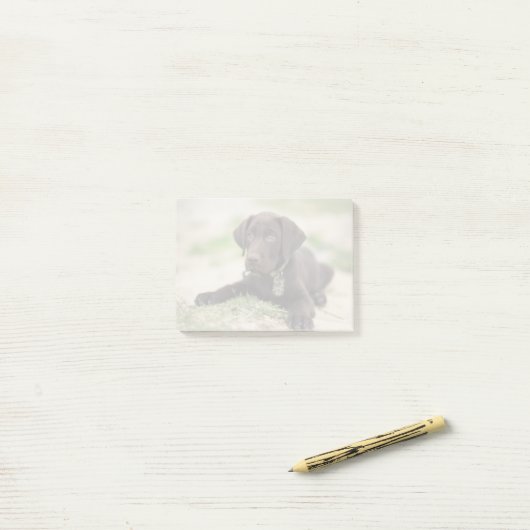 Post-it® Chiot de laboratoire de chocolat (Sur un bureau)