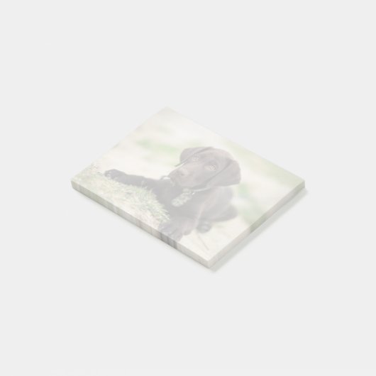 Post-it® Chiot de laboratoire de chocolat (Incliné)