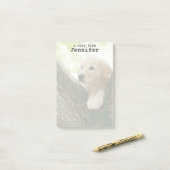 Post-it® Chiot de Labrador se reposant dans un arrangement (Sur un bureau)