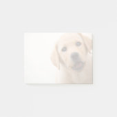 Post-it® Chiot d'or de Labrador (Devant)