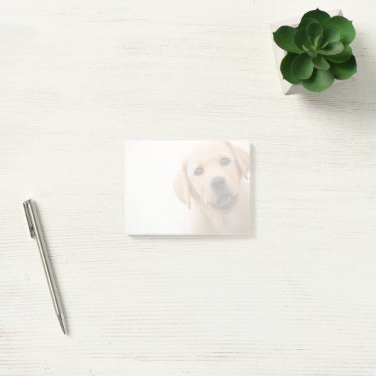 Post-it® Chiot d'or de Labrador (Bureau)