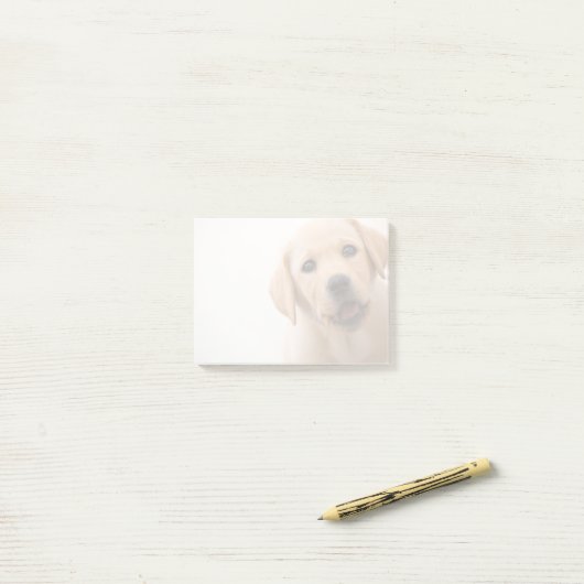 Post-it® Chiot d'or de Labrador (Sur un bureau)