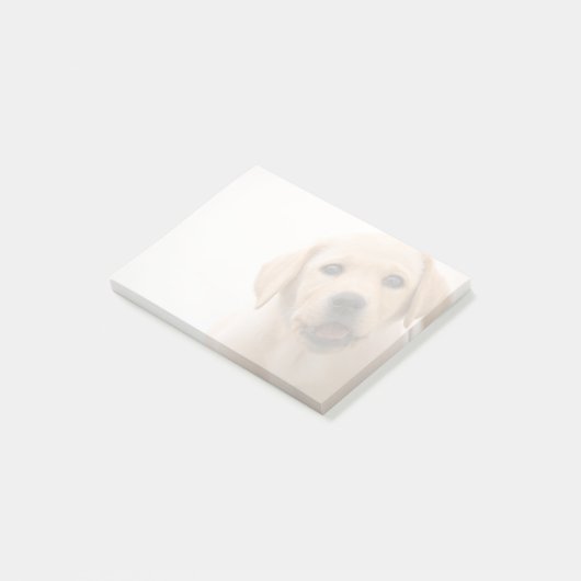 Post-it® Chiot d'or de Labrador (Incliné)