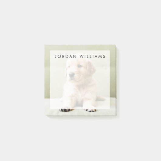 Post-it® Chiot d'or sur un canapé (Devant)